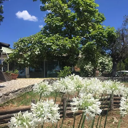 I Congiunti Bed and breakfast Velletri